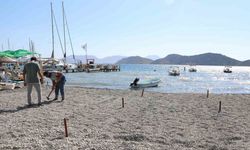 Sezon bitti, Marmaris Belediyesi plajları düzenlemeye başladı