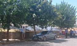 Tren yolu kenarında çıkan yangın araçlara sıçramadan söndürüldü