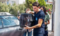 Davutlar Mahallesi’ne Kedi Kısırlaştırma Merkezi açıldı