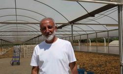 İncir üreticisi tek çatı altında toplanmak için çalışma başlattı