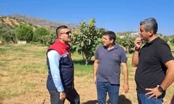 Köşk’te tarımsal zararlılarla mücadele için sahaya indiler