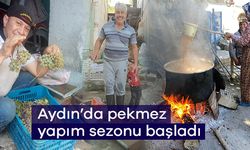 Aydın’da pekmez yapım sezonu başladı