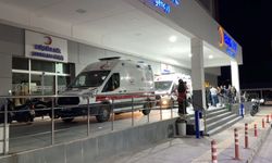 Aydın'da iki aile arasında kavga çıktı