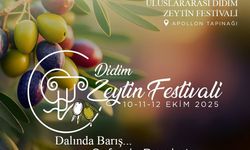 Didim Zeytin Festivali için geri sayım başladı