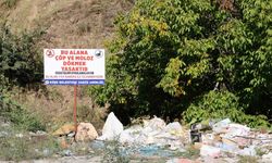 Duyarsız vatandaşlar uyarı tabelalarına aldırış etmedi