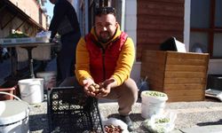 Aydın dağlarından gelen lezzet beşbıyık meyvesi tezgahlarda yerini aldı