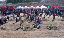 Aydın’da yarın binlerce fidan toprakla buluşacak