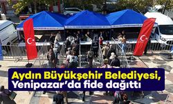 Aydın Büyükşehir Belediyesi, Yenipazar’da fide dağıttı