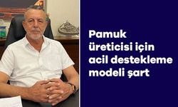 Başkan Özer: Pamuk üreticisi için acil destekleme modeli şart