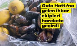 Gıda Hattı’na gelen ihbar ekipleri harekete geçirdi