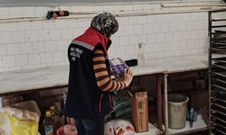 Söke’de gıda işletmelerine sıkı denetim