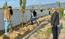 Sultanhisar’da can dostları için yeşil dokunuş