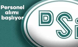 DSİ, Aydın'a 22 personel alacak