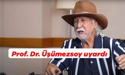 Prof. Dr. Üşümezsoy uyardı: “Güney yönünde 6 büyüklüğünde yeni bir deprem olabilir”