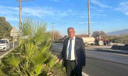 Yeşil Sultanhisar için ağaçlandırma çalışmaları sürüyor