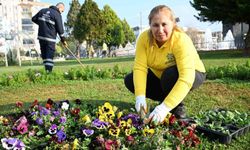 Aydın Büyükşehir Belediyesi Efeler'de çalışmalarını sürdürüyor