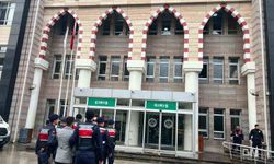 Aydın'da göçmen kaçakçılığı operasyonu