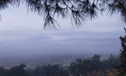 Aydın'da puslu sabah manzaraları mest etti