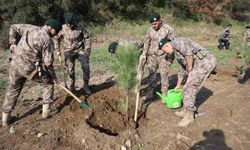 Aydın'da şehit polisler adına fidan dikildi