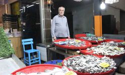 Bozdoğan'da balık tezgahlarının en çok tercih edilen çeşidi hamsi oldu