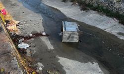 Çöp konteynerleri ilçe kanalına atıldı