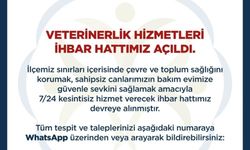 Germencik'te Veterinerlik Hizmetleri İhbar Hattı hizmete açıldı