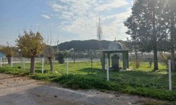 Kızılcapınar Camii'nin çevre düzenlemesi tamamlandı