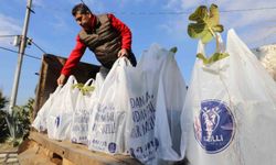 Nazilli Belediyesi'nin dağıttığı binlerce ağaç fidanı kısa sürede tükendi