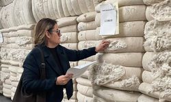 Söke'den yurt dışına gidecek ham pamuklar denetlendi