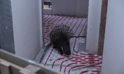 İncirliova Belediyesi ekiplerinden örnek davranış