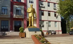 Aydın Valiliğinden domuz etik açıklaması