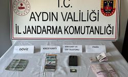 Aydın’da 40 bin TL'lik anlaşmayı jandarma bozdu