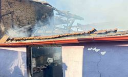 Bozdoğan'da ev alevlere teslim oldu