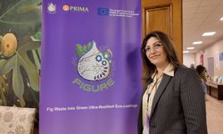 İncir Atıkları Katma Değerli Ürünlere Dönüştürülecek