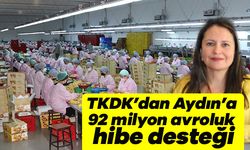 TKDK’dan Aydın’a 92 milyon avroluk hibe desteği