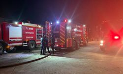 Koçarlı’da çam fıstığı işletmesi yandı