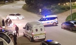 Araç içerisinde öldürüp, yol kenarına attılar