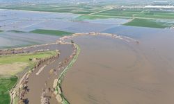 Menderes taştı, yüzlerce dönüm sular altında kaldı