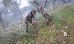 Film sahnesi değil gerçek hayat