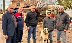 Aşırı yağışlar sonrası Söke'de hayvanlar güvenli bölgelere alındı