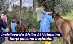 İncirliova'da Afrika At Vebası'na karşı çalışma başlatıldı
