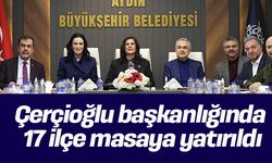 Çerçioğlu başkanlığında 17 ilçe masaya yatırıldı