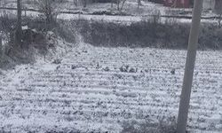 Aydın'ın yüksekleri beyaza büründü