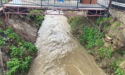 Bozdoğan'da yağışlar derelerin debisini artırdı