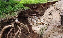 Dere suları yön değiştirdi, zeytinlikte ikinci yatak oluştu