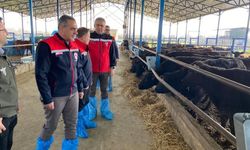 Devlet desteğiyle işini büyüten işletmeler incelendi