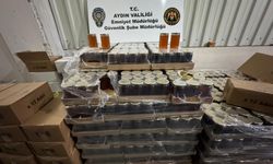 Aydın’da Tonlarca Sahte Ürün Ele Geçirildi