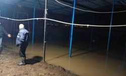 Koçarlı'da su baskını sonrası hayvan tahliyesi sürüyor