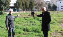 Sahipleri ölüme terk etti, resmi kurumlar topu birbirine attı