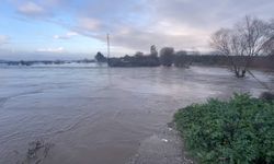 Sarıçay taştı, Bağarası'nda tarım arazileri sular altında